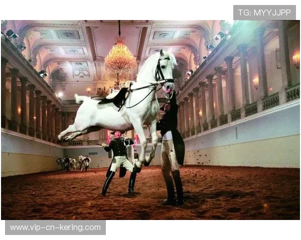 西班牙马术协会推出青少年培训计划，培养未来马术明星。，西班牙马术学校