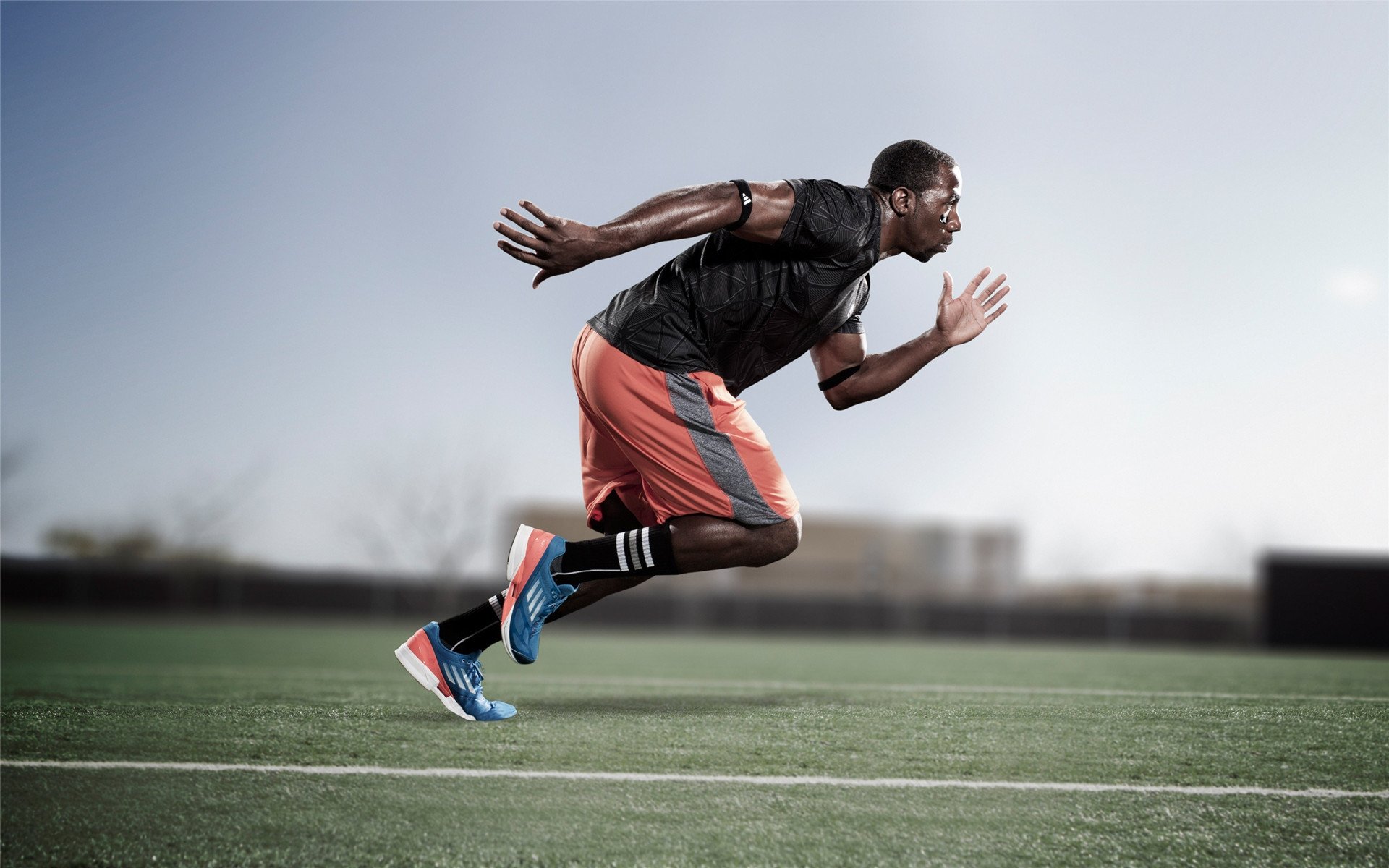 丹·卡特:改变世界橄榄球踢球方式的全黑队传奇人物,丹麦橄榄球